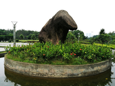 深圳中山公园风景