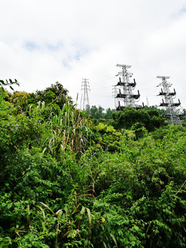 深圳塘朗山郊野公园