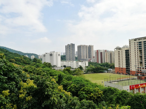 深圳南山塘朗山郊野公园风光