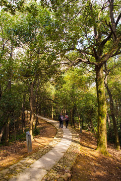 杭州北高峰山間小路