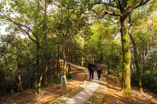 杭州北高峰山間小路