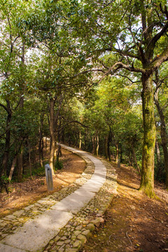 杭州北高峰山間小路
