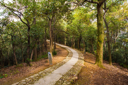 杭州北高峰山間小路