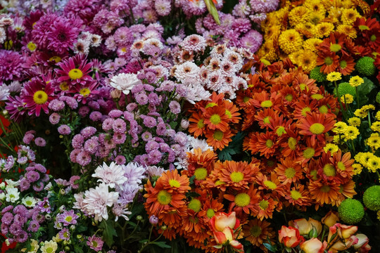 鲜花墙 花店