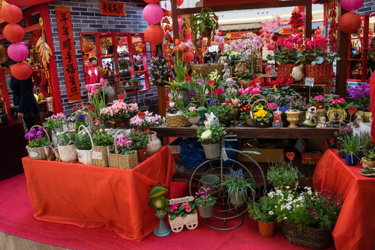 花店 玫瑰 蝴蝶兰 兰花