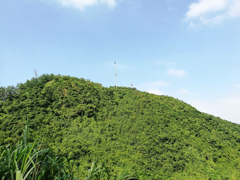 深圳塘朗山郊野公园山峰景区