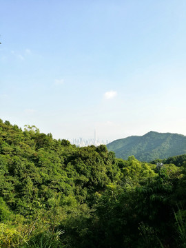 深圳南山塘朗山森林公园景色