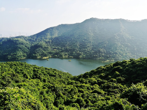 深圳梅林水库风光