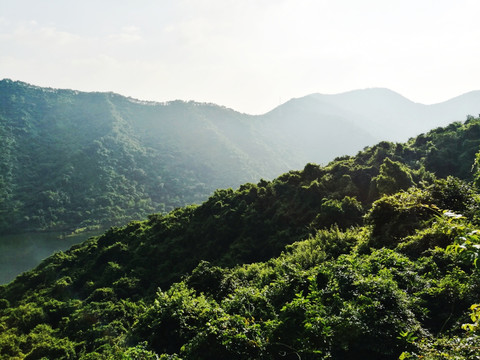 深圳塘朗山梅林水库