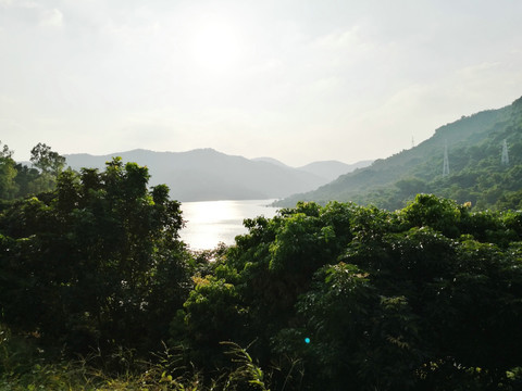 深圳塘朗山梅林水库景点