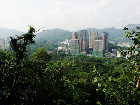 深圳笔架山公园风景