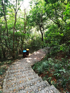 深圳笔架山公园登山道