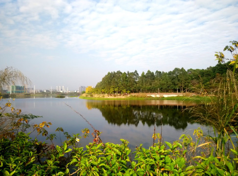 碧水蓝天