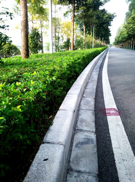 道路 跑道 花坛 公园