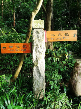 深圳笔架山森林公园路标指示牌