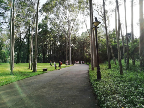 深圳笔架山公园道路