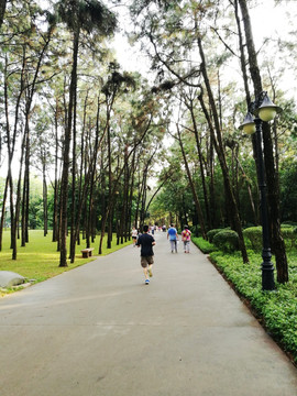 深圳笔架山公园道路