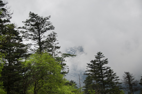 玉龙雪山