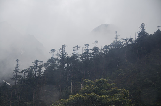 玉龙雪山