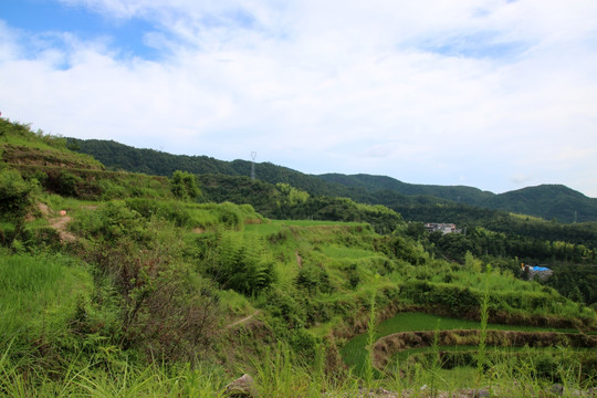 山村