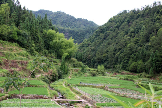 山乡田园