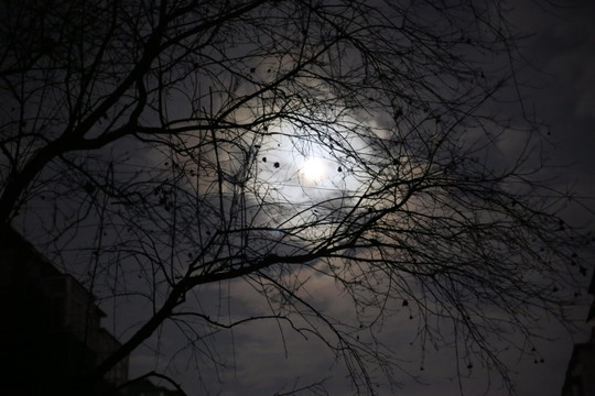 月夜月光