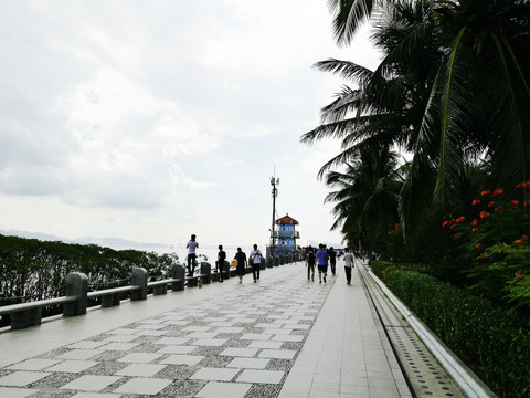 深圳福田滨海公园海湾