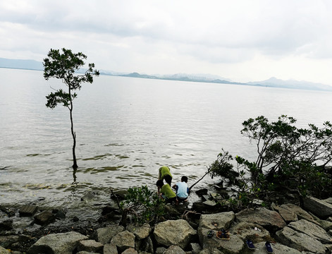 深圳湾滨海生态公园