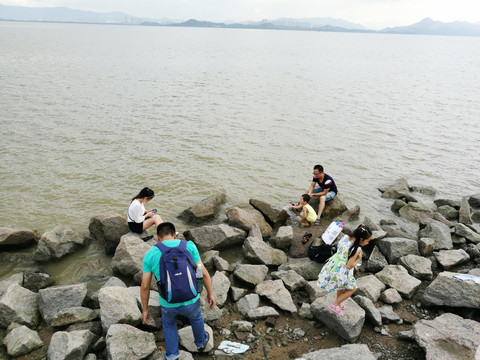 深圳湾滨海生态公园