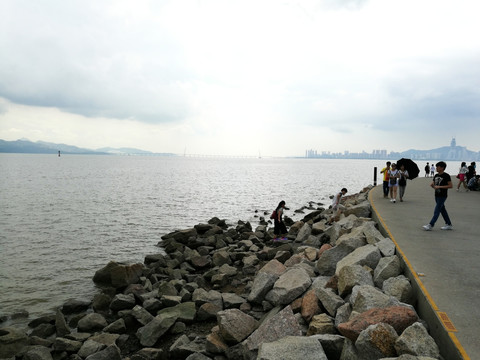 福田深圳湾滨海生态公园风景