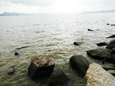 福田深圳湾滨海生态公园风景