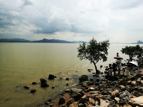 深圳滨海生态公园