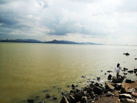 深圳湾公园风景