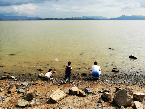 深圳湾公园风景