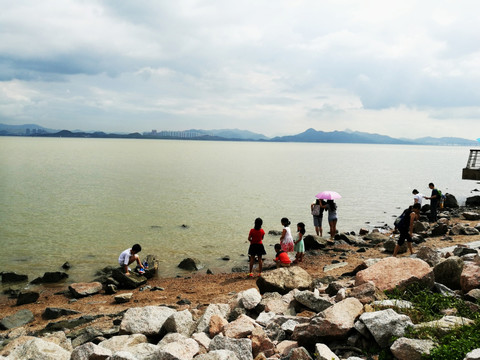 深圳滨海公园美景