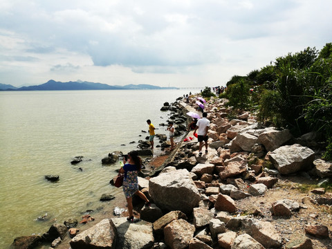 深圳湾公园