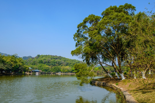 阳光湖岸风景