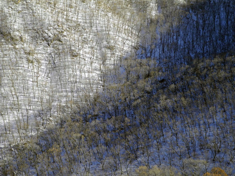 林海雪原