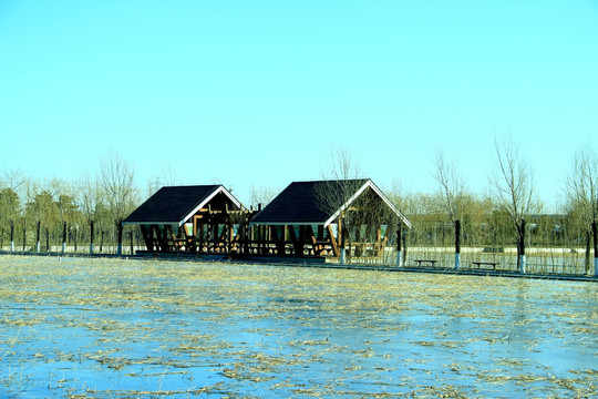 湿地木屋