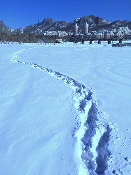 雪后东北城市