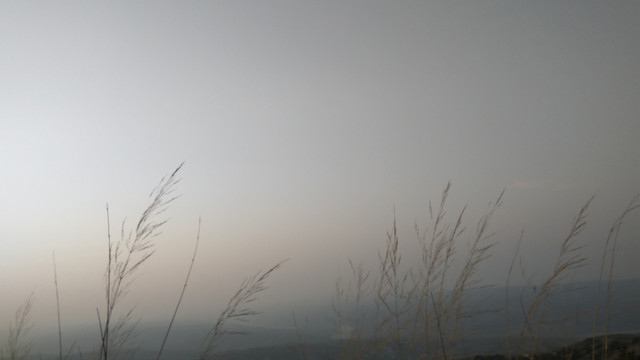 荒野，迷茫，草野