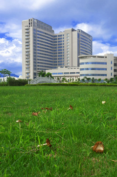 草地边的医院
