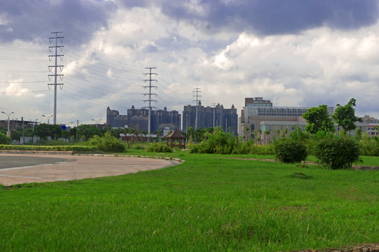 城市大片草地