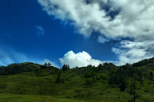 新疆 喀纳斯 蓝天 白云 草原