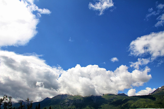 新疆 喀纳斯 蓝天 白云 草原