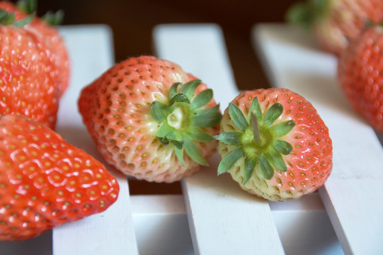 草莓 水果 鲜果 草莓特写