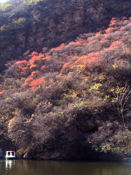 双龙峡红叶游船