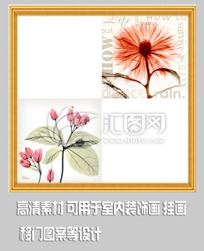 時(shí)尚花卉