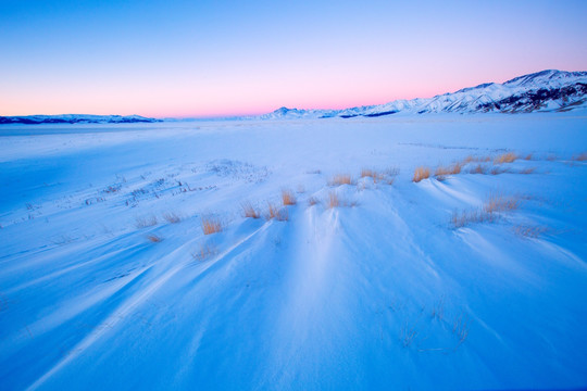 雪地