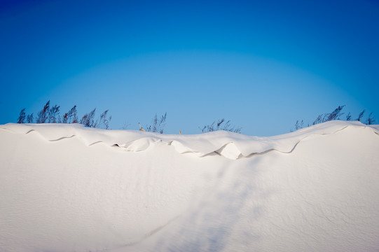 映画雪原